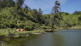 FOTO: Wisata Ranu Regulo di Kaki Gunung Semeru Kembali Dibuka