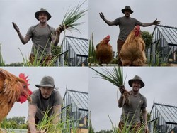 David Beckham Berkebun dan Berternak Nikmati Pensiun