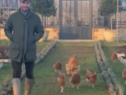 David Beckham yang Menua Bersama Unggas dan Sayuran