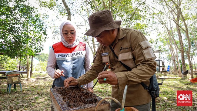 Pertamina EP Sangatta Field membantu petani madu kelulut di Kutai Timur, Kaltim, kembangkan eduwisata di Taman Nasional Kutai.