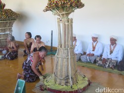 Melihat Prosesi Numplak Wajik Keraton Jogja, 7 Gunungan Disiapkan