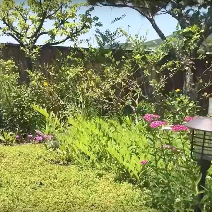 <p>Uniknya, rumah Jung So Min memiliki area <em>mini garden</em> di bagian <em>rooftop</em>-nya. Tempat ini menjadi kebun yang sangat asri untuk hunian di tengah perkotaan. (Foto: YouTube 정소민ssomday)</p>