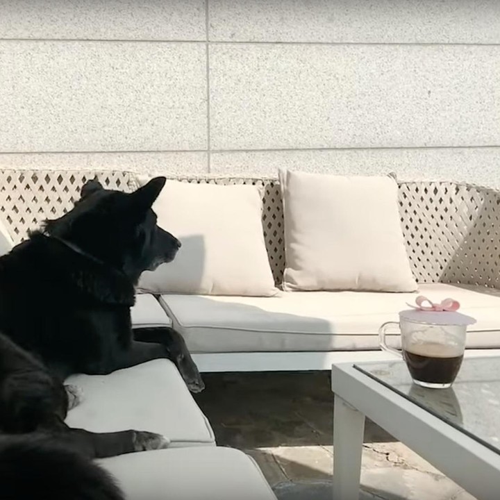 <p>Ruang tamu bintang drakor<em> Love Next Door</em> ini didominasi dengan warna putih yang memberi kesan bersih dan luas, Bunda. (Foto: YouTube 정소민ssomday)</p>