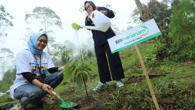 Dengan fokus pada keberlanjutan, BRI memperlihatkan bahwa tanggung jawab sosial dan lingkungan penting untuk masa depan dan meraih kesuksesan jangka panjang.