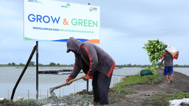 BRI mendukung pencapaian target Net Zero Emission melalui program lingkungan seperti Zero Waste to Landfill, serta BRI Menanam dan BRI Menanam Grow & Green.