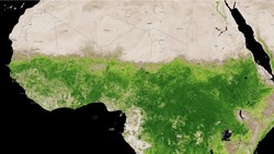 Cuaca Ekstrem, Gurun Sahara Berubah Menghijau Dilihat dari Luar Angkasa