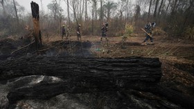 FOTO: Kebakaran Hutan Membara di Bolivia