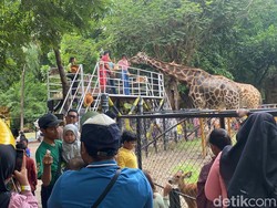 Mitigasi Cuaca Ekstrem, Objek Wisata Surabaya Siap Sambut Nataru