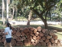 Jakarta Punya Taman 24 Jam? Seru, tapi Warga Minta Lampu & CCTV!