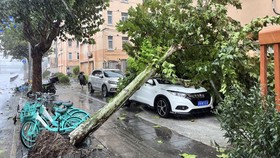 Shanghai China 'Lumpuh' Disapu Topan Bebinca, 975 WNI Aman