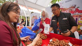Klaster Klengkeng di Tuban Kian Bersinar Berkat Pemberdayaan BRI