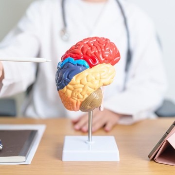 Cukup 2 Menit di Pagi-Malam Hari, Pakar Harvard Ungkap Satu Aktivitas Baik untuk Kesehatan Otakmu!