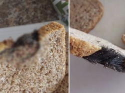 Jijik! Potongan Tikus Ditemukan di Lembaran Roti Tawar Kemasan