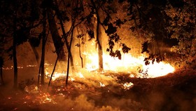 BMKG Rilis Peringatan Kebakaran Hutan Saat Kemarau, Riau Jadi Sorotan