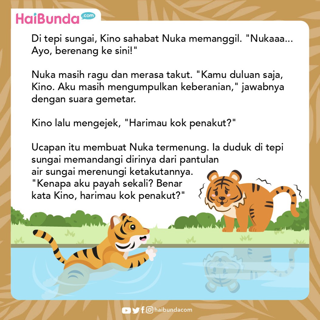 Nuca, seekor anak harimau jantan dikenal penakut, bahkan untuk sekadar berenang pun ia tak mau. Sampai akhirnya, ia harus menolong temannya di tepian sungai.