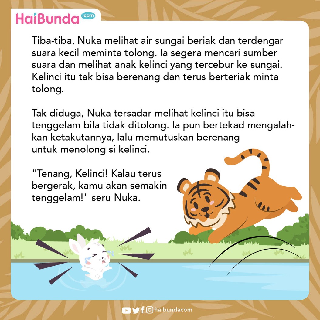 Nuca, seekor anak harimau jantan dikenal penakut, bahkan untuk sekadar berenang pun ia tak mau. Sampai akhirnya, ia harus menolong temannya di tepian sungai.