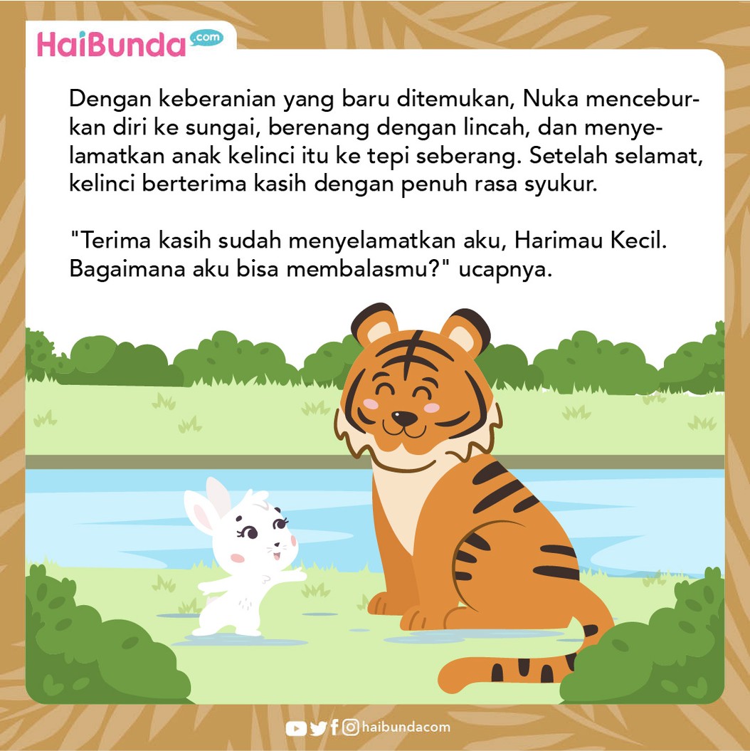 Nuca, seekor anak harimau jantan dikenal penakut, bahkan untuk sekadar berenang pun ia tak mau. Sampai akhirnya, ia harus menolong temannya di tepian sungai.