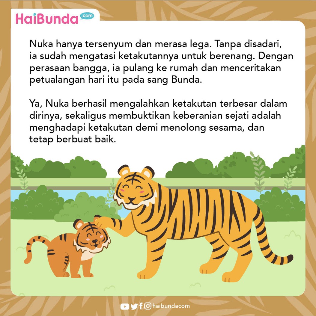 Nuca, seekor anak harimau jantan dikenal penakut, bahkan untuk sekadar berenang pun ia tak mau. Sampai akhirnya, ia harus menolong temannya di tepian sungai.