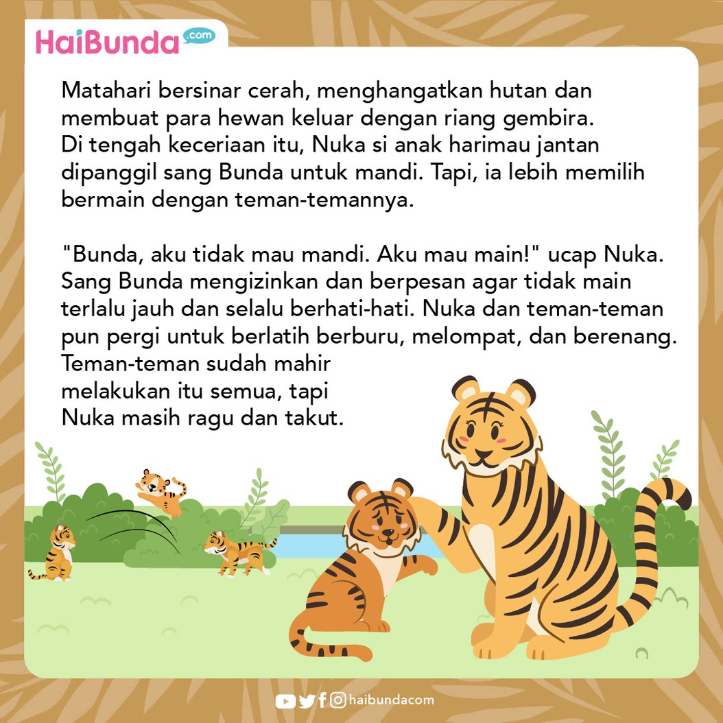 Nuca, seekor anak harimau jantan dikenal penakut, bahkan untuk sekadar berenang pun ia tak mau. Sampai akhirnya, ia harus menolong temannya di tepian sungai.