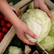 5 Sayuran yang Perlu Dihindari Penderita Asam Lambung, Catat Biar Nggak Kumat!