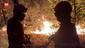 VIDEO: Kebakaran Hutan Landa Portugal, Asap Hitam Selimuti Langit