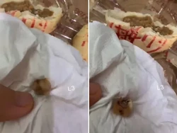 Duh! Ada Gigi Utuh Masuk ke Dalam Mooncake dan NyarisTertelan