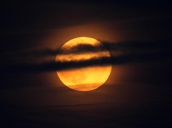 Beaver Moon November 2024: Pengertian, Jadwal, Cara Lihat, Makna Spiritual