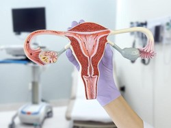 Ladies! Rutinlah Konsumsi 5 Makanan Ini Agar Rahim Tetap Sehat