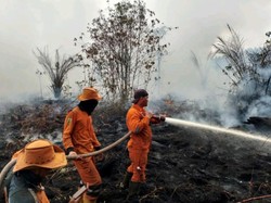 Menko Polkam Bakal Hadiri Apel Siaga Karhutla di Sumsel