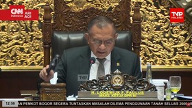 VIDEO: DPR Setujui Naturalisasi Eliano Reijnders dan Mees Hilgers