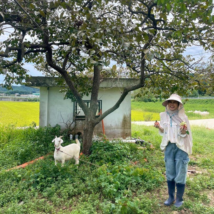 <p>Di postingan lain, Xaviera juga menunjukkan kegiatannya saat mencoba berkebun. Dalam potret ini, ia mengenakan outfit ala warga lokal saat mengurus perkebunan. "Oke disini agak mirip ahjumma, lagi belajar berkebun," ucapnya.(Foto: Instagram @xavieraaputri)<br /><br /><br /></p>