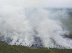 7 Kabupaten Sumsel Terjadi Karhutla, Pemadaman Darat dan Udara Dioptimalkan