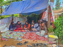 Korban Gempa Bandung Terpaksa Makan Singkong di Pengungsian