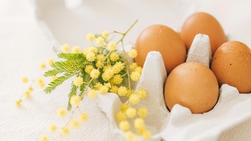 Fakta tentang telur untuk ibu hamil