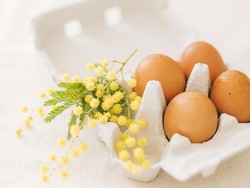 7 Cara Mengolah Telur, Mana Favoritmu?