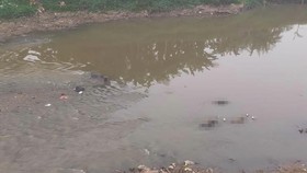 Saksi Ungkap Mayat di Kali Bekasi Tersangkut Batu, Pakai Sepatu Sama