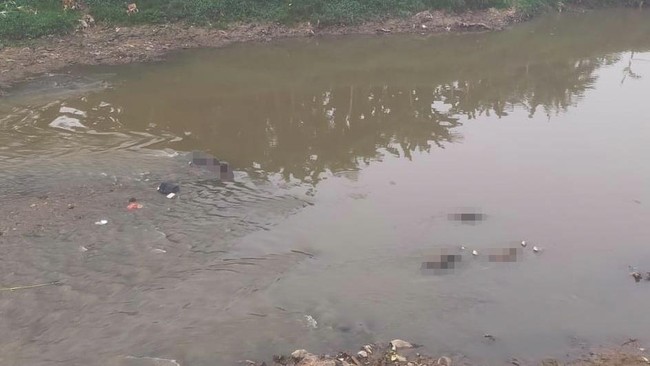 Sebanyak tujuh mayit di Kali Bekasi, Perumahan Pondok Gede Permai, Kecamatan Jatiasih, Kota Bekasi, sudah dibawa ke Rumah Sakit Polri Kramatjati, Minggu (22/9).