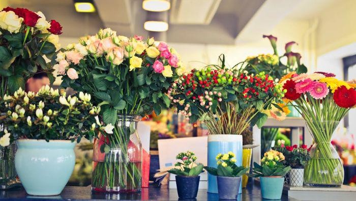 5 Bunga yang Memiliki Makna Negatif, Jangan Sampai Salah Pilih!