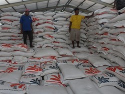 Stok Beras Tembus 4 Juta Ton, Tertinggi Sejak Bulog Berdiri