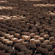 Instalasi Seni 15 Ribu Teddy Bear di Doha, Representasi Nyawa Melayang Anak Palestina Akibat Genosida Israel