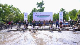 Aksi Nyata Pelindo Beri Dampak Positif Bagi Warga Sekitar Pelabuhan