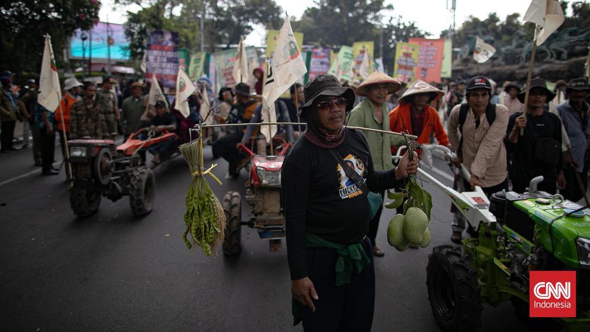 Rombongan Petani Demo di Jakarta, Bawa Padi hingga Labu