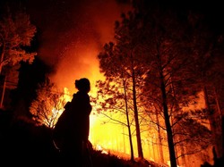 BPBD Sumsel Imbau Masyarakat Tak Buka Lahan dengan Cara Dibakar