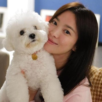 4 Kepribadian Orang Pecinta Anjing Menurut Penelitian, Ras Menentukan Karakter Pemiliknya!