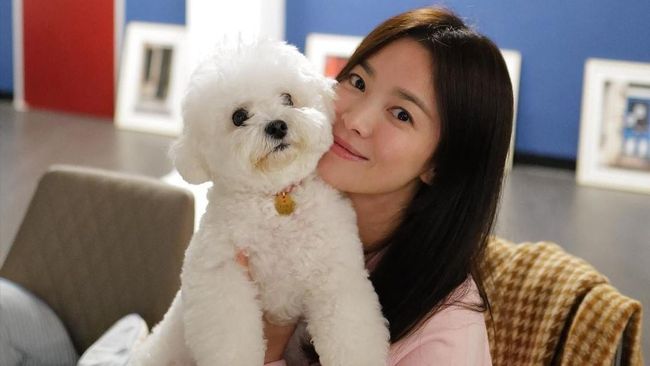 4 Kepribadian Orang Pecinta Anjing Menurut Penelitian, Ras Menentukan Karakter Pemiliknya!