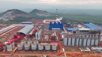 Ini Dia Sumber Bauksit Untuk Pabrik Alumina Rp 14 Triliun