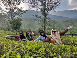 Tempat Menginap dengan Suhu Paling Dingin di Puncak