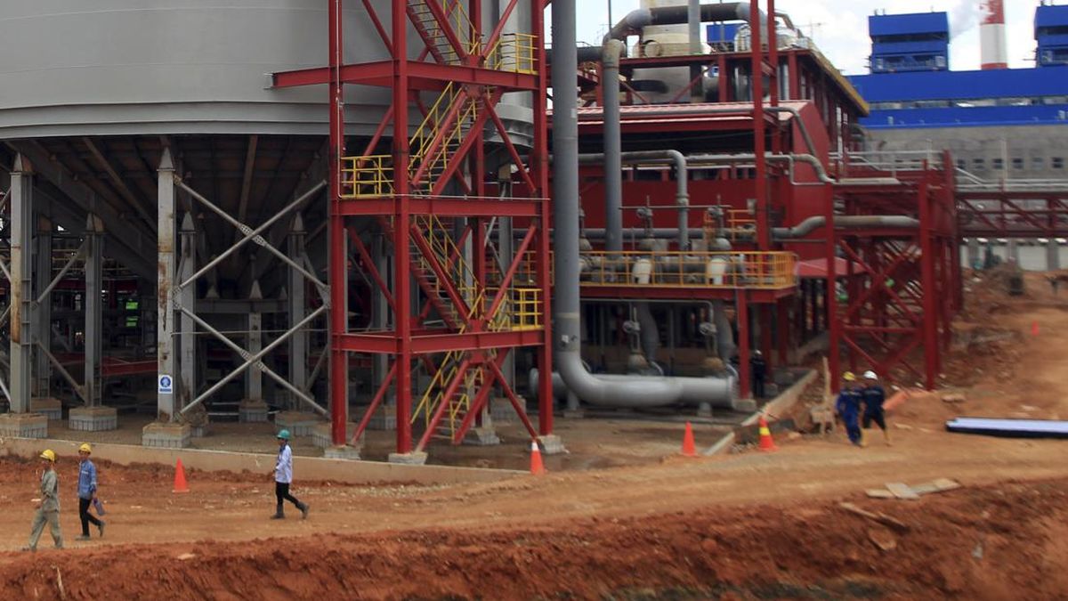 Inalum Sebut Danantara Bakal Masuk Proyek Smelter Mempawah Fase 2