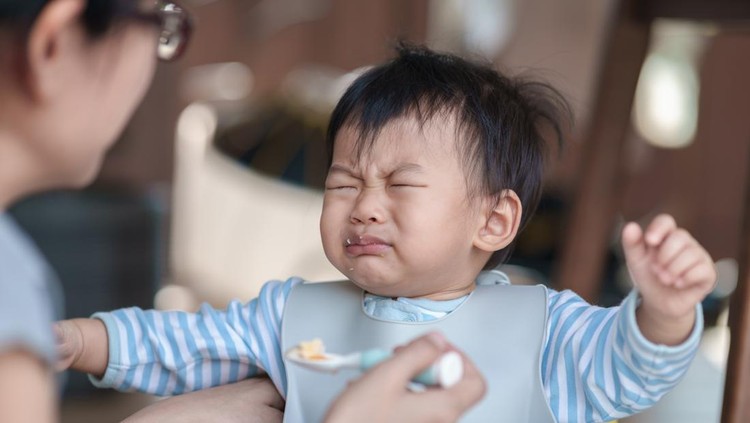 Anak MPASI susah makan