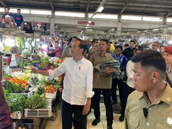 Pertama Kali Kunjungan ke Berau, Jokowi Kaget Antusiasme Masyarakat